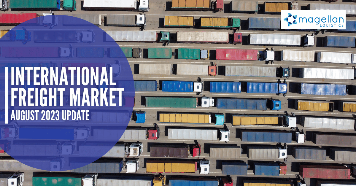 International Freight Market Update August 2023