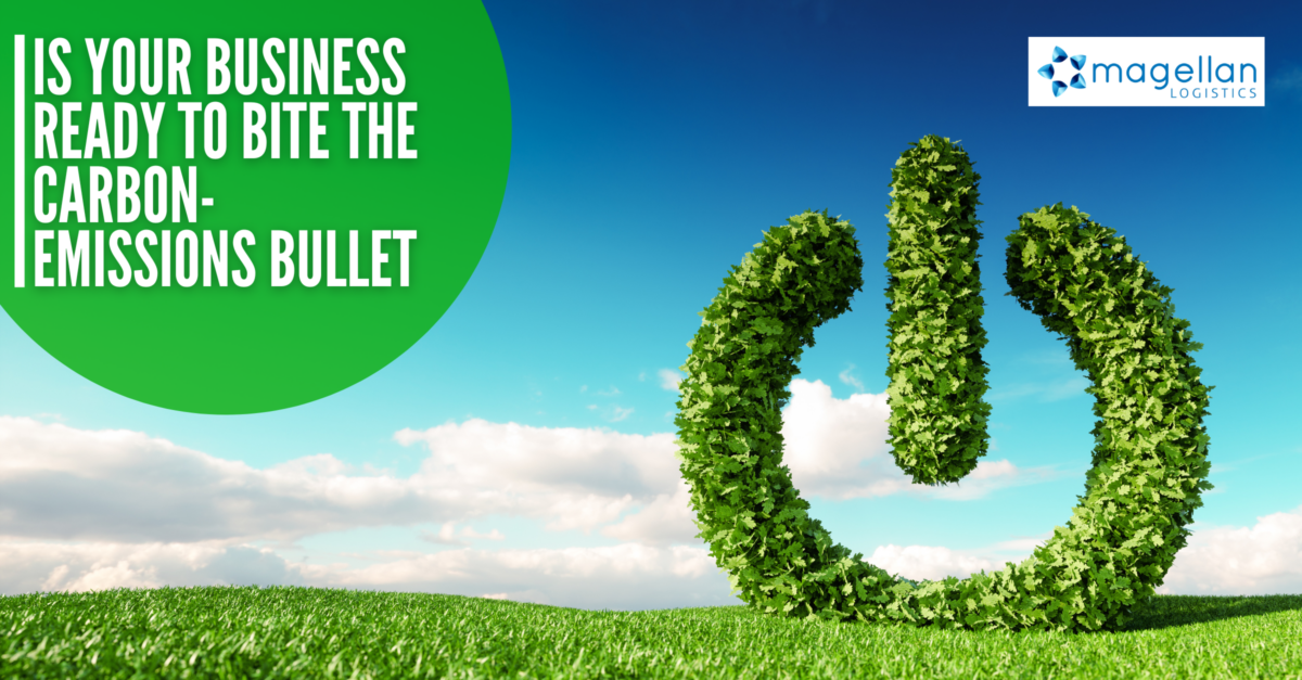 Carbon Emissions: Green field and blue sky with start symbol rendered from leaves.