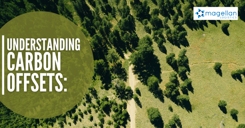 Carbon Neutral: Drone image of green forested area with dirt tracks running through it.