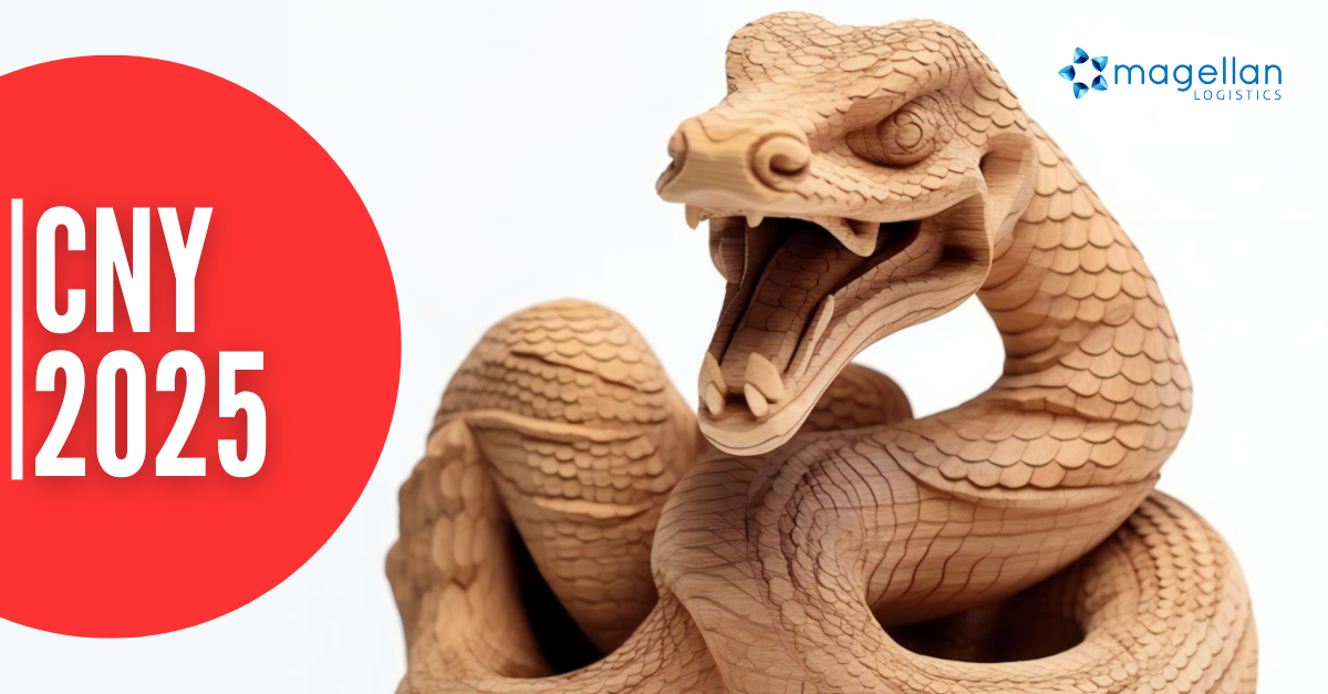 Chinese New Year: Close up of warned wooden snake to denote the Year of the Wood Snake