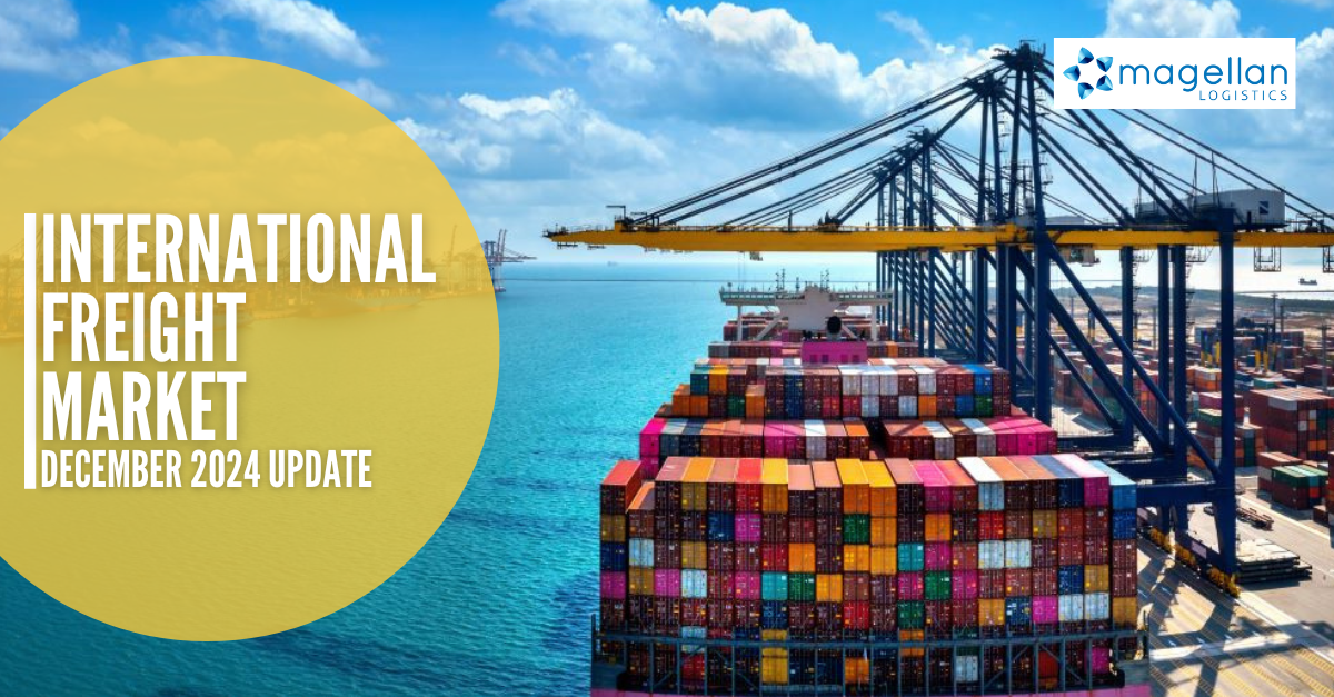 Market Update: Stacks of containers on a wharf, beneath cranes waiting to be loaded on a bright sunny day. Blue sea and sky in the background.